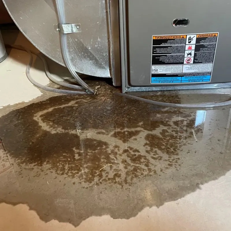Pipe Burst and Leak Restoration in Harlan, IN