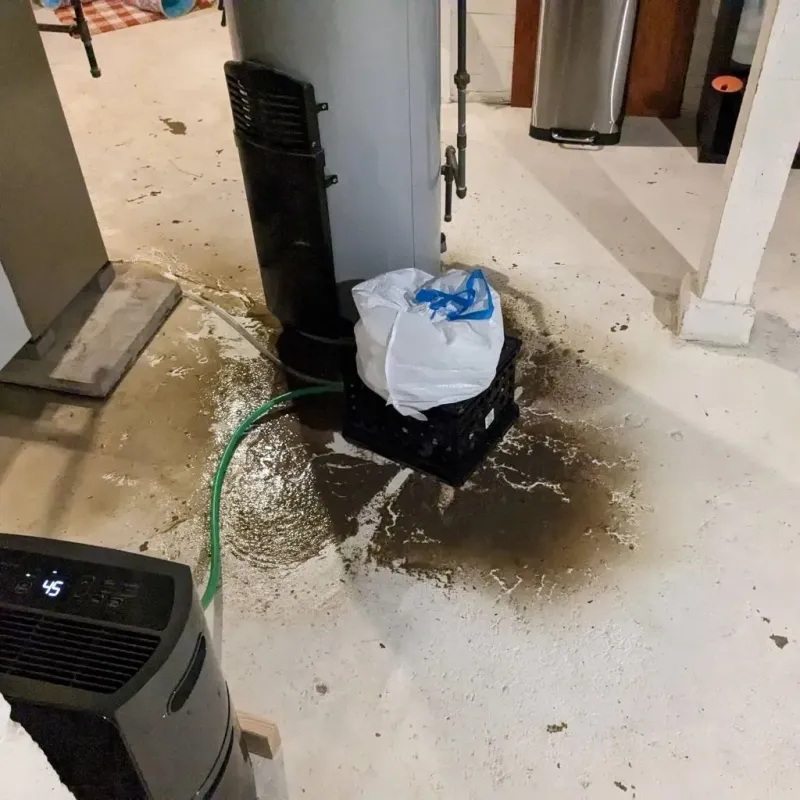 Sewage Backup Cleanup Service in Harlan, IN